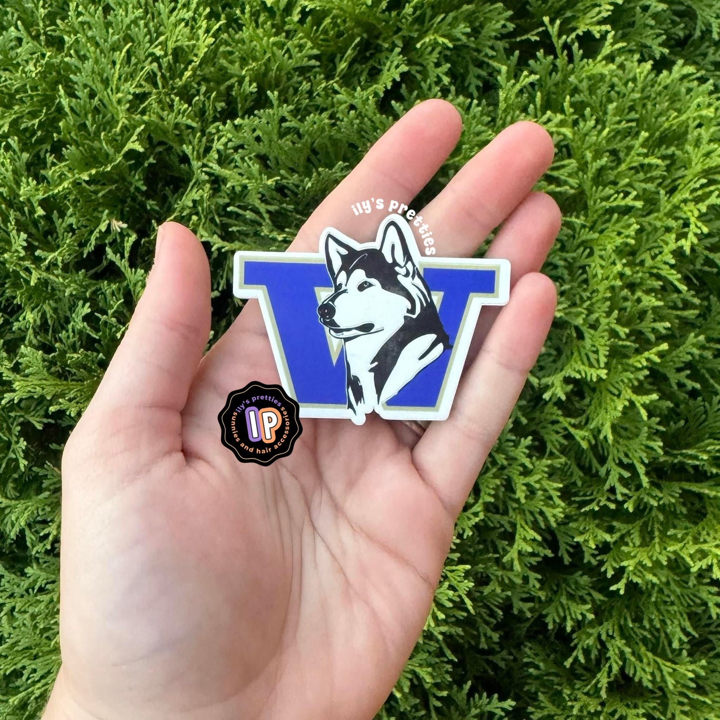 W huskies