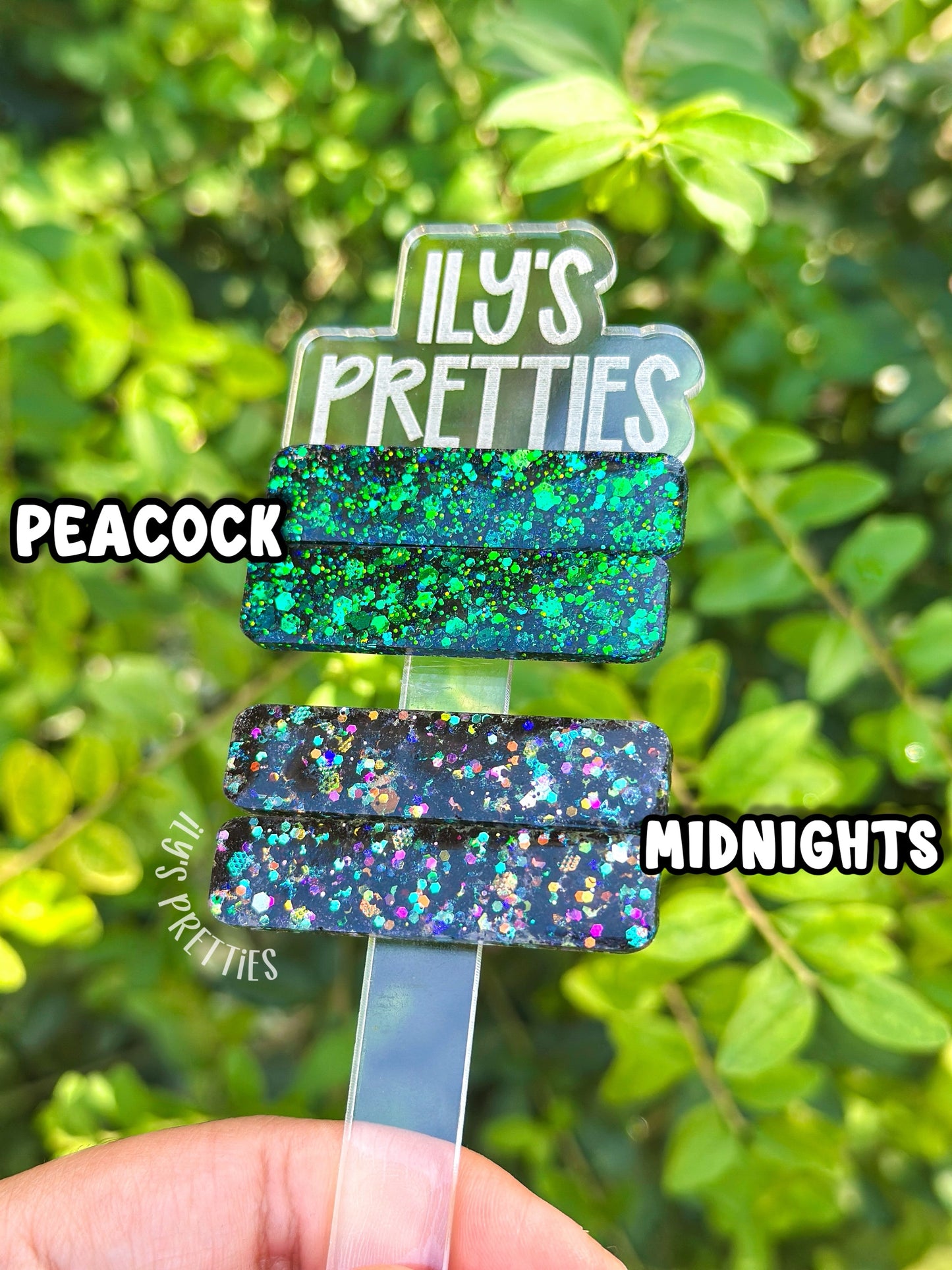 PEACOCK — MIDNIGHTS