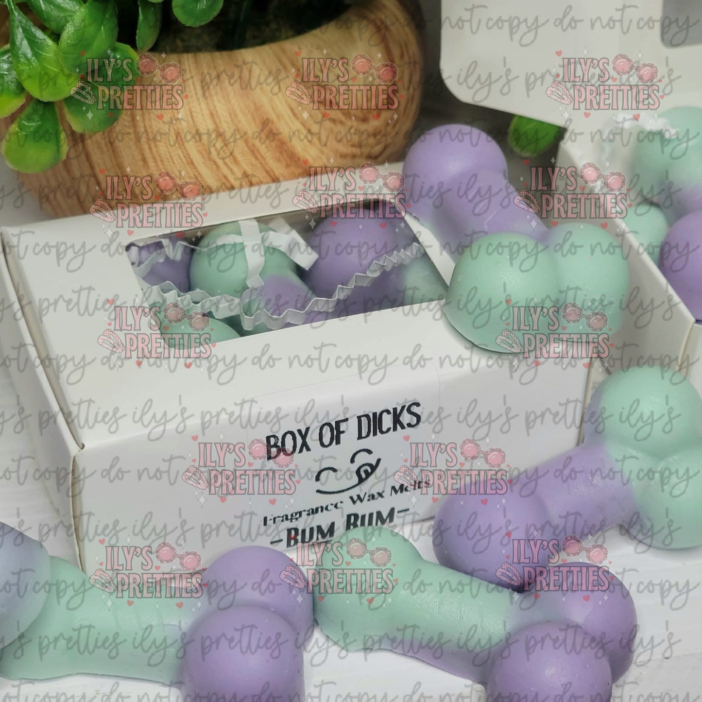 BOX OF D*CKS — WAX MELT