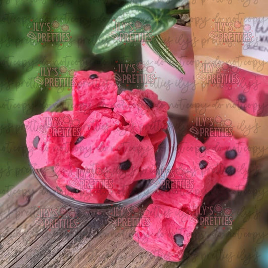 WATERMELON BITES — FOOD MELT