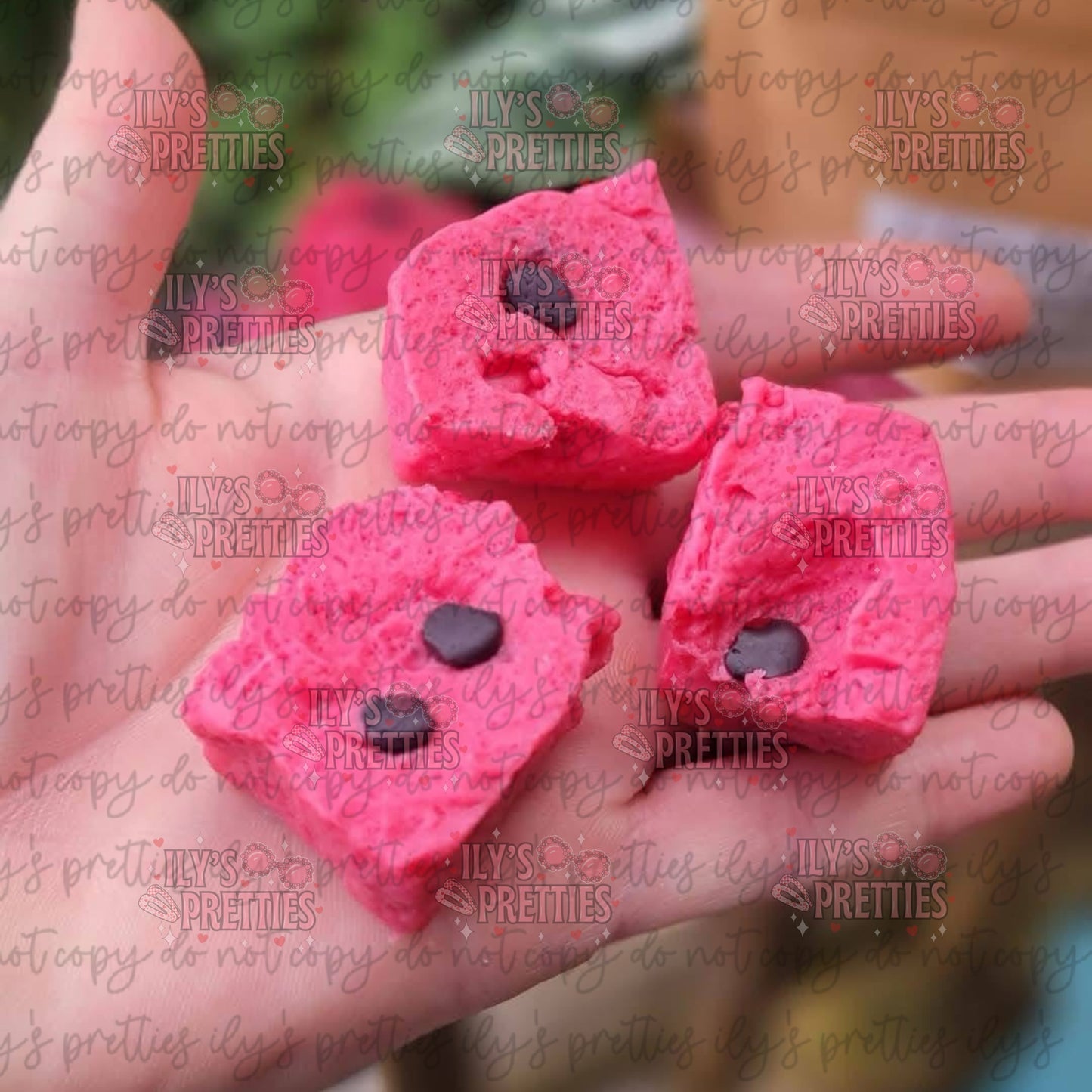 WATERMELON BITES — FOOD MELT